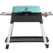 Furnace Gas Barbecue with Stand
