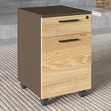 Allen 1 Drawer 1 Door Mobile Pedestal