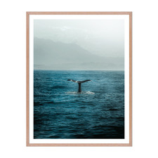 Whale Tail Framed Wall Art