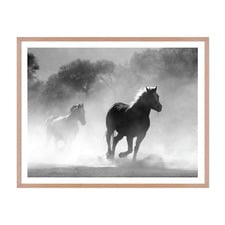 Equine Dust Framed Wall Art