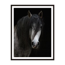 Horse Framed Wall Art