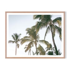 Palm Holiday Framed Printed Wall Art