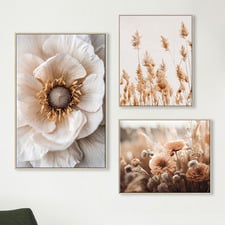 3 Piece Sepia Bloom Canvas Wall Art Set