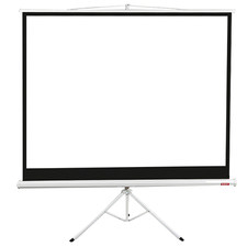 Portable Projector Screen with Tripod Stand