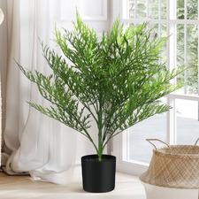 65cm Potted Faux Silver Birch Plant