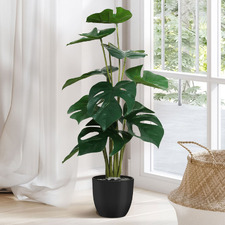 50cm Potted Faux Montsera Plant