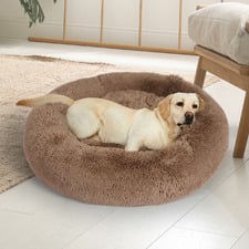 Damon Dog Bed