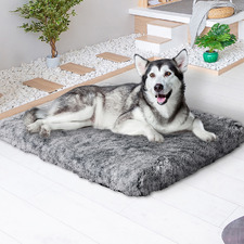 Strobel Memory Foam Pet Bed