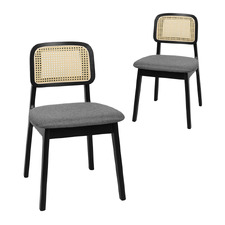 Gunter Upholstered Dining Chairs (Set of 2)