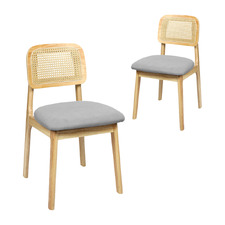 Gunter Velvet Dining Chairs (Set of 2)