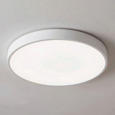 Kenyir 30cm Acrylic LED Oyster Light