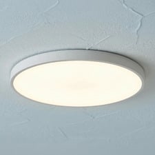 Wexler White Round LED Oyster Light