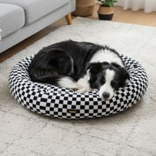 Oryn Round Pet Bed