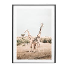 Giraffe Goals Framed Print