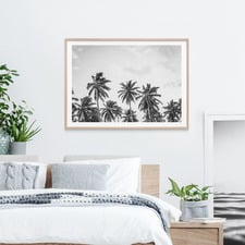Hawaii Palms Framed Print