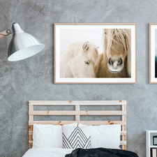Wild Ponies Framed Print