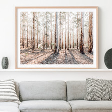 Eucalyptus Landscape Framed Paper Print Wall Art