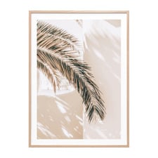 Shaded Palm Framed Paper Print Wall Art