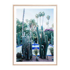 Marrakech Cacti Framed Paper Print Wall Art