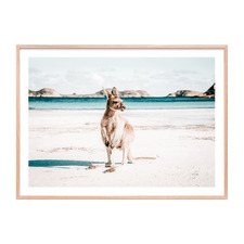 Beach Paws Framed Paper Print Wall Art