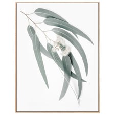 Light Eucalyptus Leaves Framed Canvas Wall Art