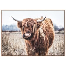 Scottish Cow Framed Canvas Wall Art
