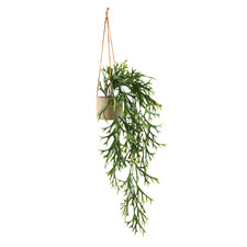 55cm Potted Faux Staghorn Hanging Plant