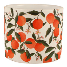 Mandarin Tree Ceramic Planter Pot