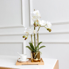 50cm Potted Faux Odessa Orchid