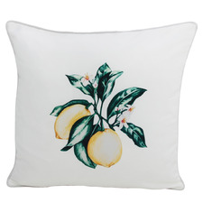 Findlay Citrus Outdoor Cushion