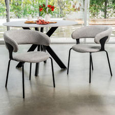 Levin Chenille Dining Chairs (Set of 2)