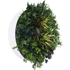 Green Fields Faux Plant Wall Disc