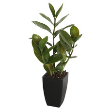 46cm Potted Faux Zanzibar Plant