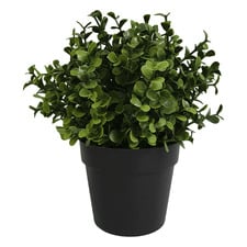 20cm Potted Faux Buxus Plants (Set of 2)