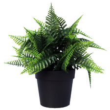20cm Potted Faux Boston Fern Plant