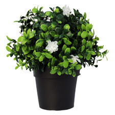 20cm Potted Faux Flowering Boxwood Plant