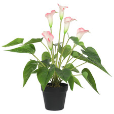 50cm Potted Faux White & Pink Calla Lily Plant