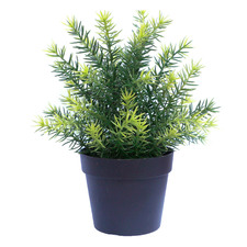 20cm Potted Faux Native Grass Plant