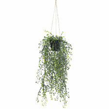 56cm Potted Faux Hanging Pearls Plant