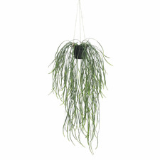 66cm Potted Faux Willow Leaf Plant