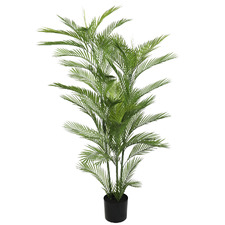 180cm Potted Faux Phoenix Palm Tree