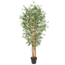 180cm Potted Faux Cane Bamboo Tree