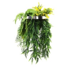 60cm Bellamy Hanging Faux Fern