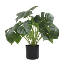 50cm Bailey Potted Faux Philodendron Plant