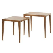 2 Piece Zayden Nesting Side Table Set