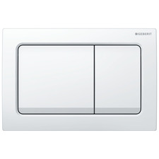 Alpha01 Dual Flush Plate