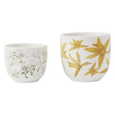 2 Piece Yellow & White Royal Botanic Gardens Planter Set