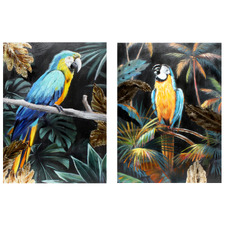 Exotic Macaw Stretched Canvas Wall Art Diptych