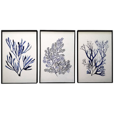 Blue Corals Framed Paper Print Wall Art Triptych