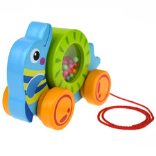 Kids' Rolling Dolphin Pull-Along Toy